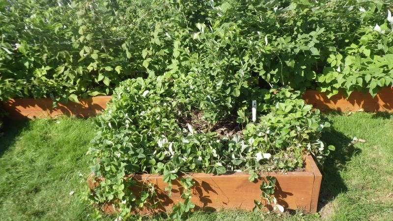 2013 09 10 photo 002-1.jpg