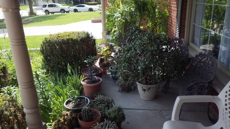  photo frontyard004.jpg