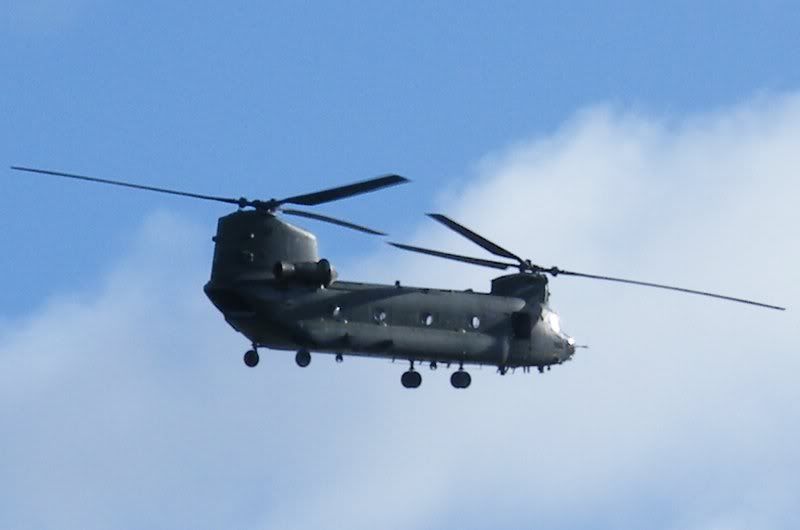 chinook02.jpg