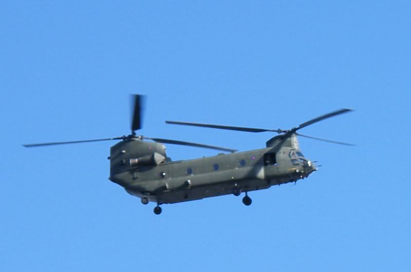 chinook1.jpg