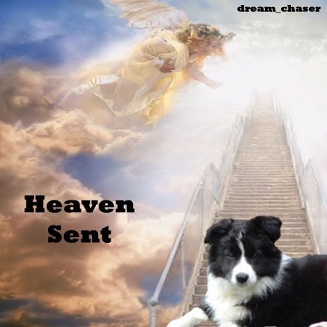Heaven Sent Pictures, Images and Photos