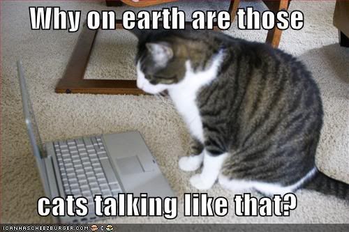 funny-pictures-offended-cat-laptop.jpg