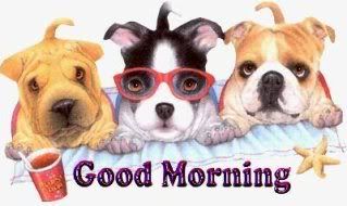 Good morning puppies Pictures, Images and Photos