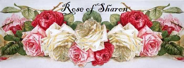 http://i128.photobucket.com/albums/p183/roosvansaron/Background/Newroseblogtitle9507.jpg?t=1216119665