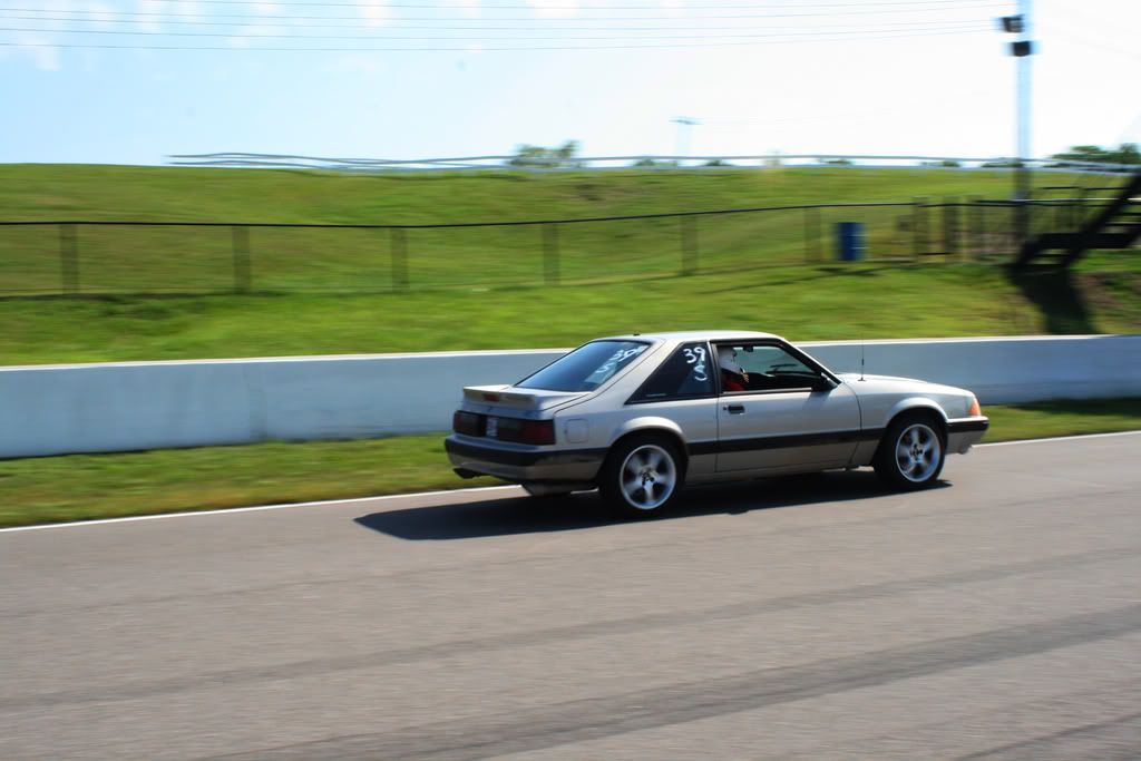 IMAGE: http://i128.photobucket.com/albums/p184/Not-4-you/IMG_6058PP.jpg