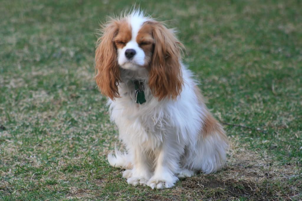 IMAGE: http://i128.photobucket.com/albums/p184/Not-4-you/Jack067.jpg