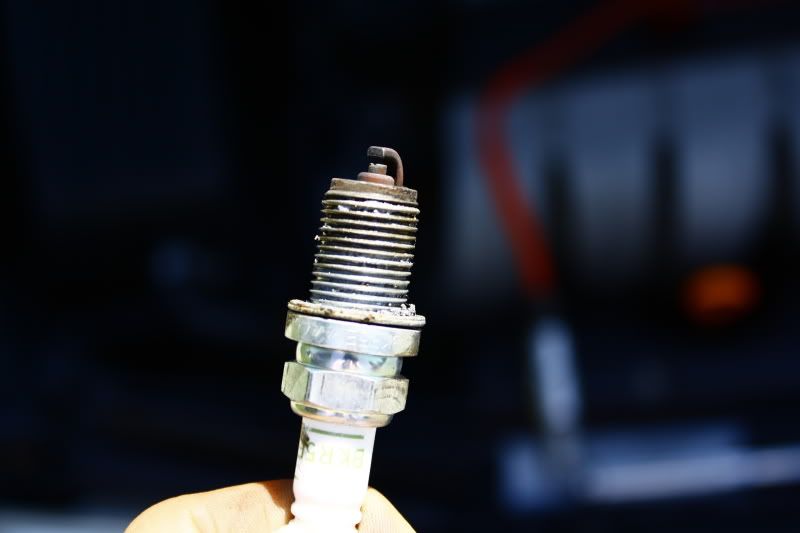 Spark Plugs went black. They are still new! VW Vortex Volkswagen Forum