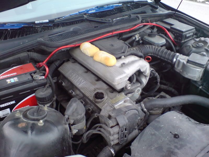DSC00044-1.jpg