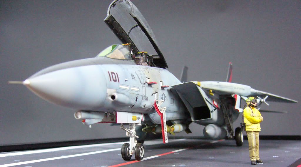 F-14_large10.jpg