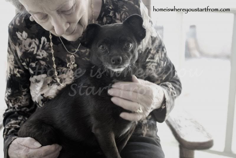  photo grandmotherampdog-homeisblog14_zps76b7cf7e.jpg