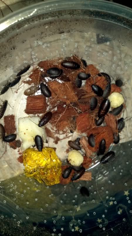 2011-10-21_22-04-06_576.jpg