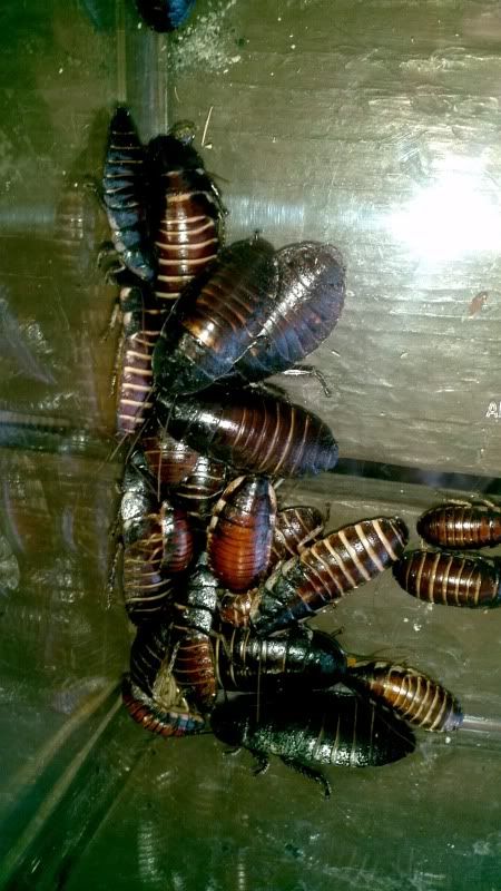 2011-10-22_16-26-46_38.jpg