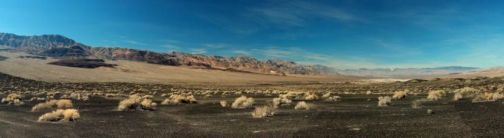 IMAGE: http://i128.photobucket.com/albums/p191/atexaschipper/PICS001_zpseaffedc6.jpg