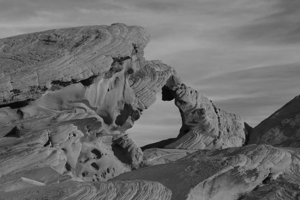 IMAGE: http://i128.photobucket.com/albums/p191/atexaschipper/PICS002_zpsa337775c.jpg