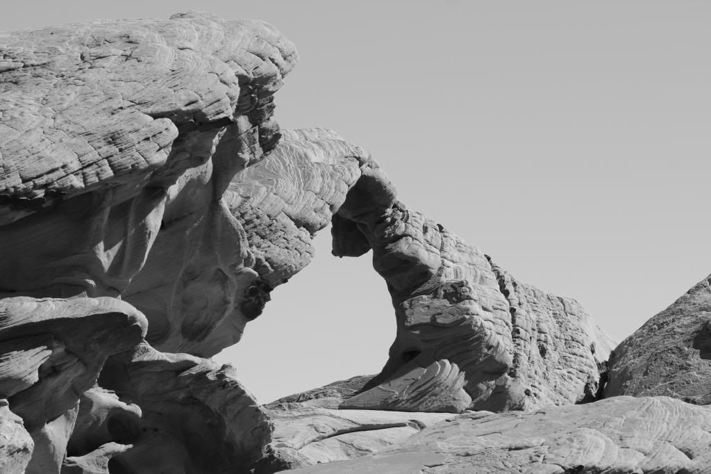 IMAGE: http://i128.photobucket.com/albums/p191/atexaschipper/VARIOUSPICS004_zps98a341ef.jpg