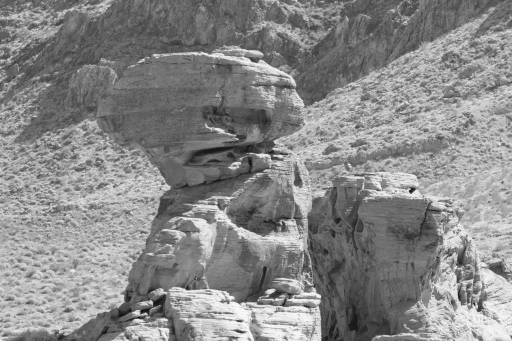 IMAGE: http://i128.photobucket.com/albums/p191/atexaschipper/VARIOUSPICS005_zps6091f88f.jpg