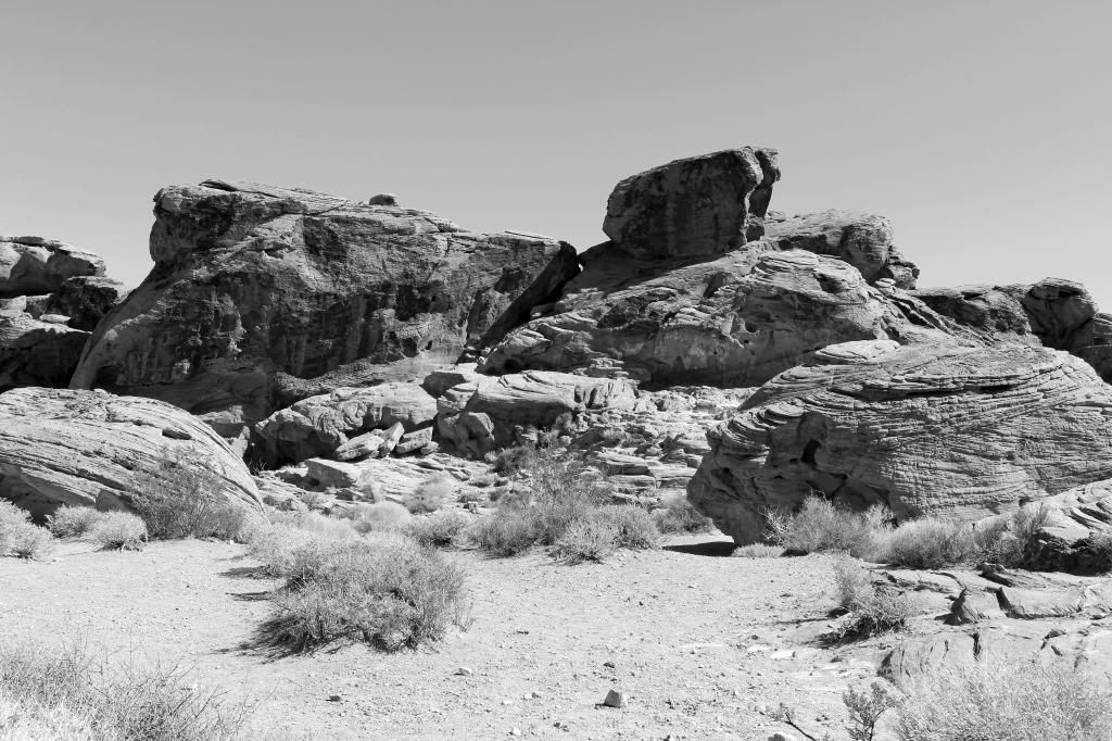 IMAGE: http://i128.photobucket.com/albums/p191/atexaschipper/VARIOUSPICS008_zps1c12f87a.jpg