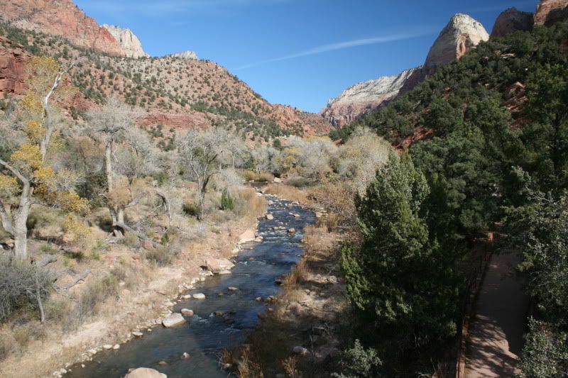 IMAGE: http://i128.photobucket.com/albums/p191/atexaschipper/Vacation%20Pics/076.jpg