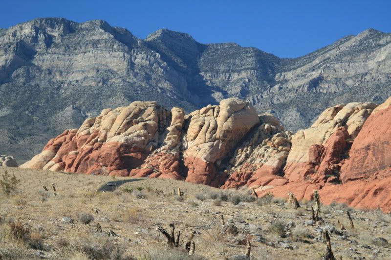 IMAGE: http://i128.photobucket.com/albums/p191/atexaschipper/Vacation%20Pics/11-22-2008020.jpg