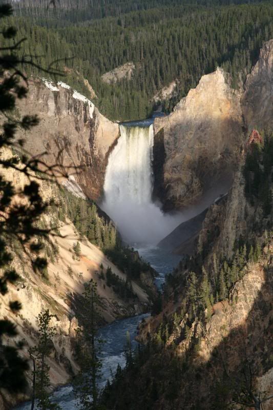 IMAGE: http://i128.photobucket.com/albums/p191/atexaschipper/Yellowstone2011021a_zps1f000093.jpg