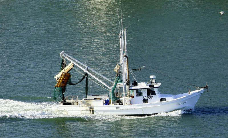 IMAGE: http://i128.photobucket.com/albums/p191/atexaschipper/cruise2010054.jpg