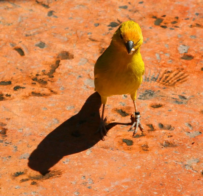 IMAGE: http://i128.photobucket.com/albums/p191/atexaschipper/cruise2010082.jpg