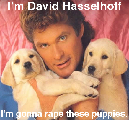 thehoff.png