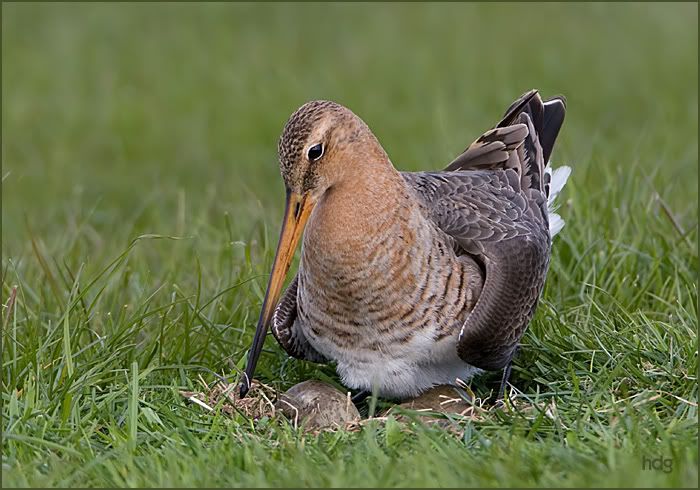 Fotografie