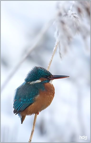 Fotografie