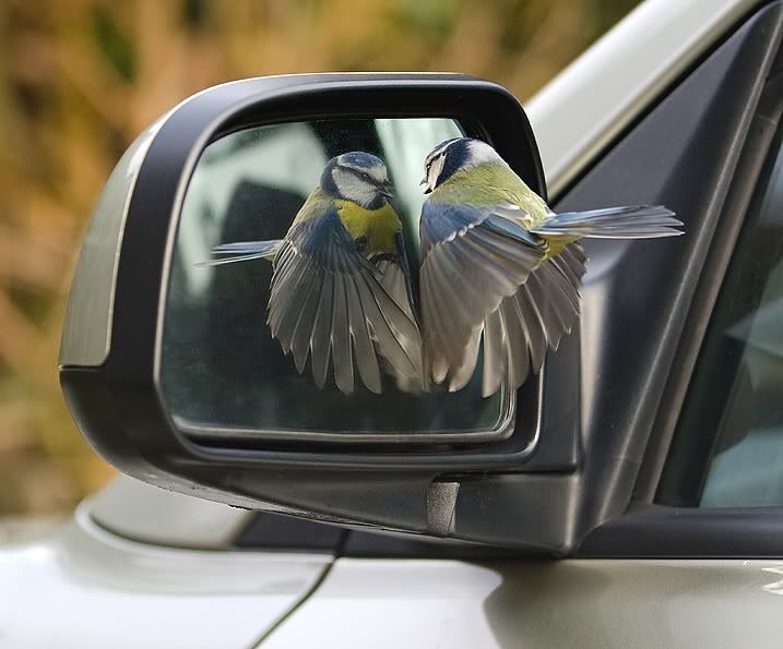 Fotografie
