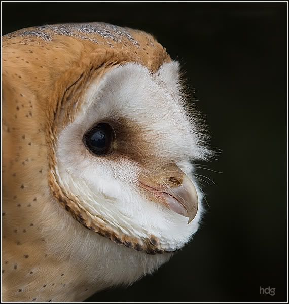 Fotografie