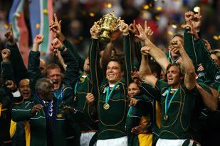 springboks Pictures, Images and Photos