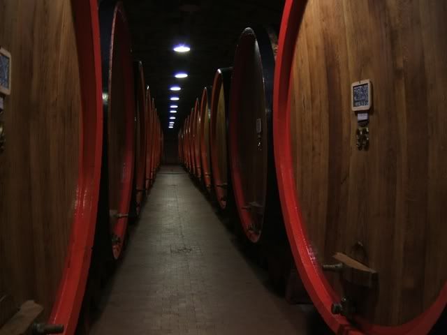 cantine braulio