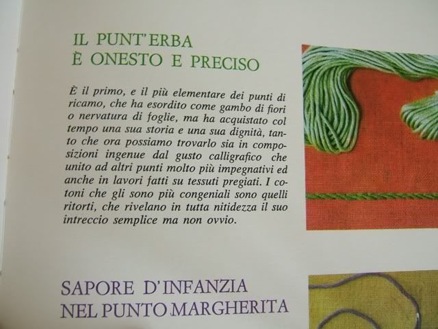 punto erba