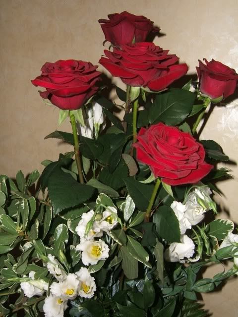 compleanno 2008