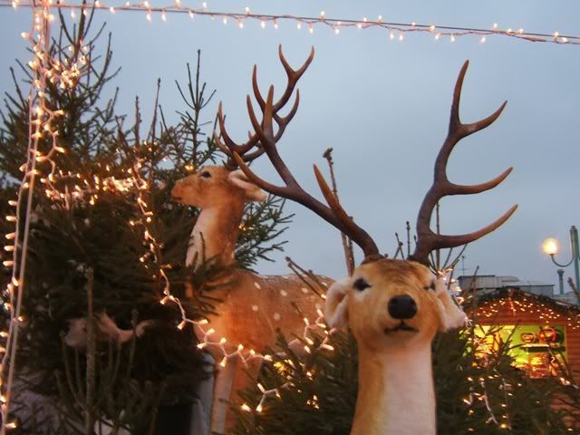 natale 08