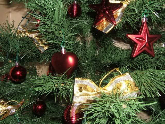 albero 2008