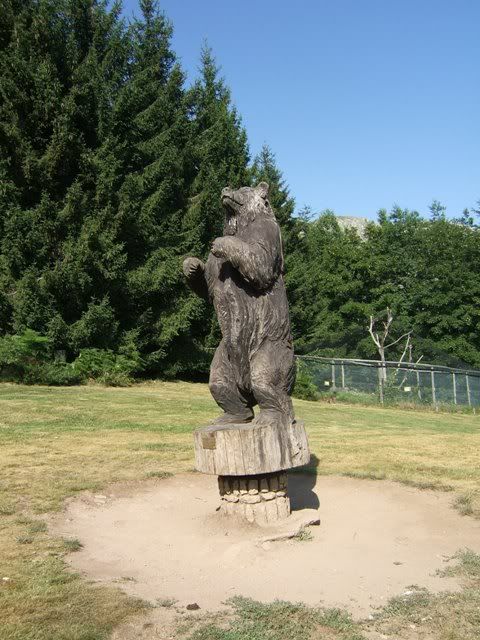 orso legno statua