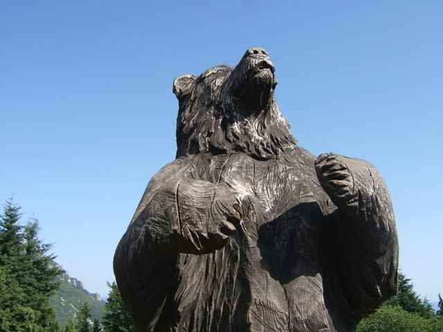 wooden bear