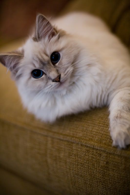 IMAGE: http://i128.photobucket.com/albums/p192/EcoRick/50at14-1-2.jpg