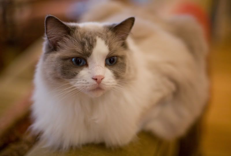 IMAGE: http://i128.photobucket.com/albums/p192/EcoRick/50at14-1-3.jpg