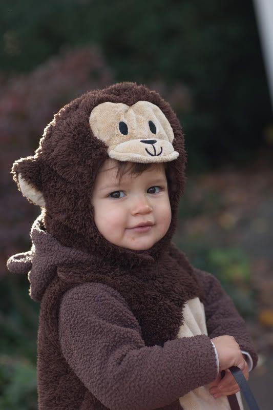 IMAGE: http://i128.photobucket.com/albums/p192/EcoRick/CostumepicofRonan-1.jpg