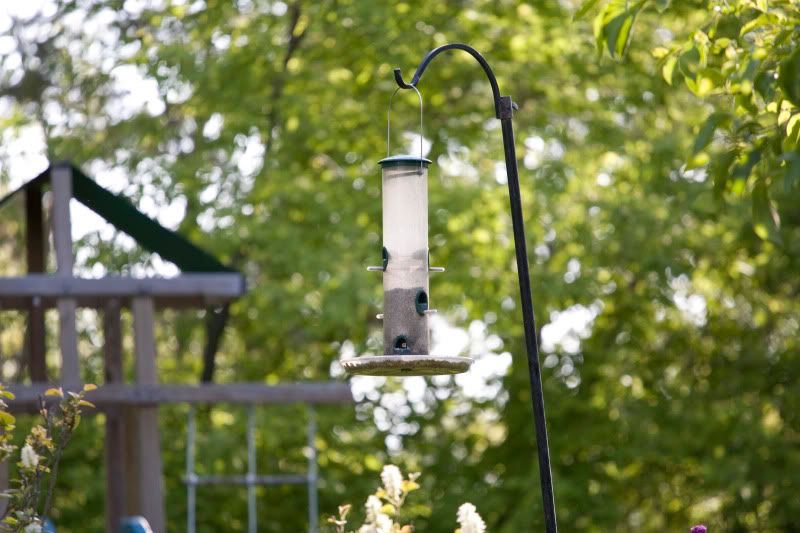 IMAGE: http://i128.photobucket.com/albums/p192/EcoRick/Focallengthtest-3.jpg