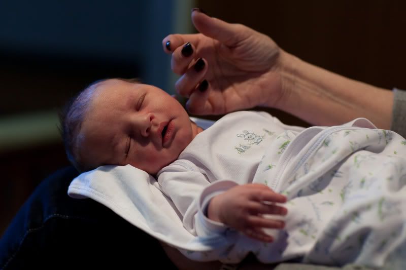 IMAGE: http://i128.photobucket.com/albums/p192/EcoRick/ForPOTN-1.jpg