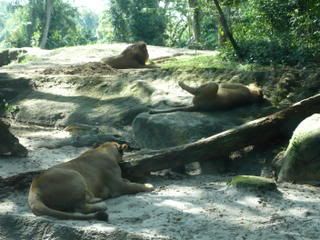 Photo Sharing and Video Hosting at Photobucket