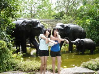 Photo Sharing and Video Hosting at Photobucket