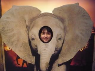 Photo Sharing and Video Hosting at Photobucket