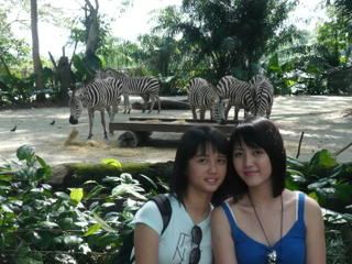 Photo Sharing and Video Hosting at Photobucket