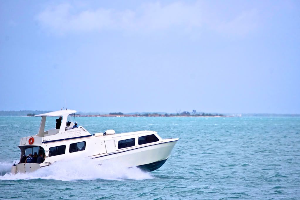 IMAGE: http://i128.photobucket.com/albums/p193/M715/Boats/DSC_0305.jpg