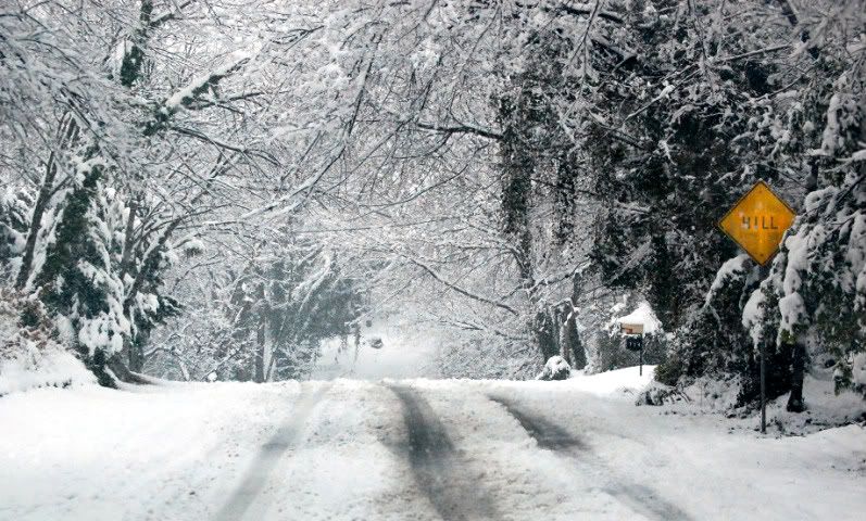 IMAGE: http://i128.photobucket.com/albums/p193/M715/DSC_0019copy.jpg